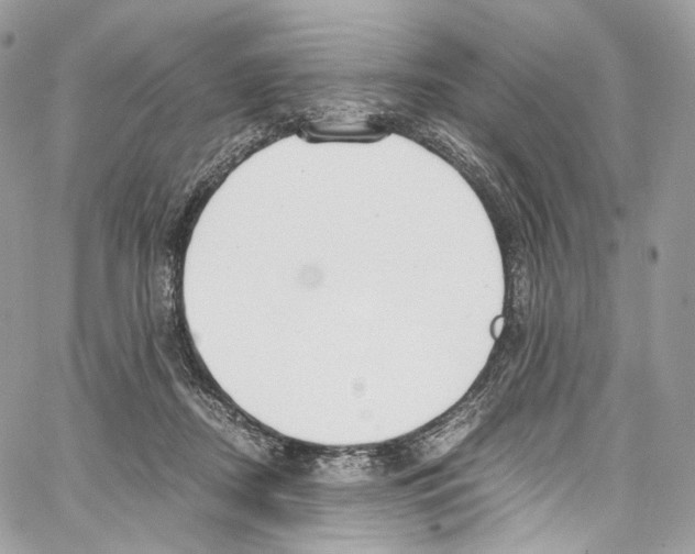 X0000067000362200604241410