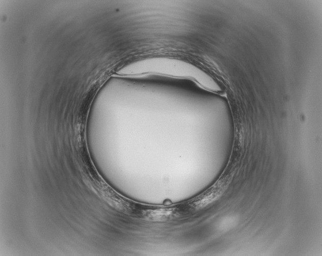 X0000067000366200604241410