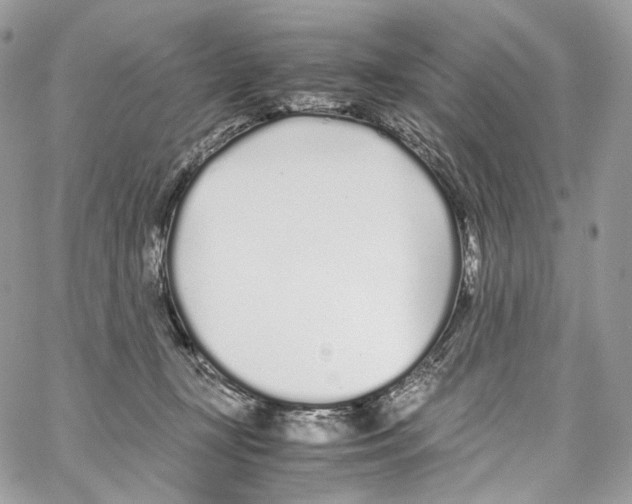 X0000067000367200604241410