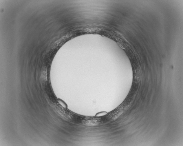 X0000067000368200604241410