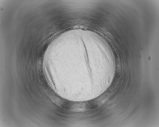 X0000067000369200604241410