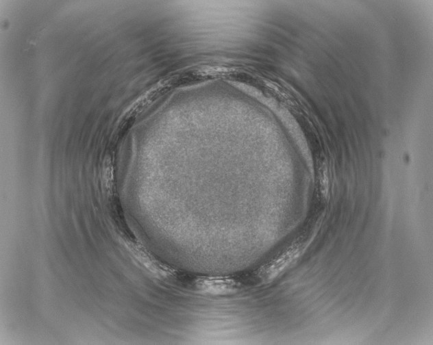 X0000067000372200604241410