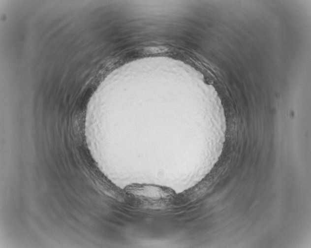 X0000067000373200604241410