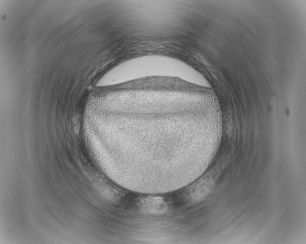 X0000067000374200604241410