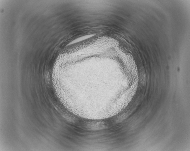 X0000067000375200604241410