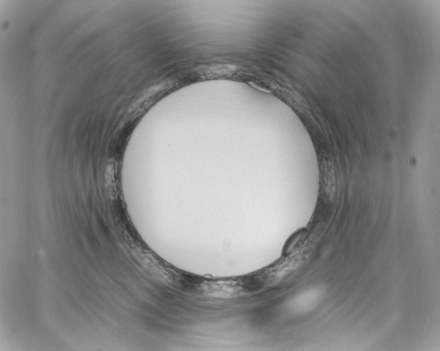 X0000067000378200604241410