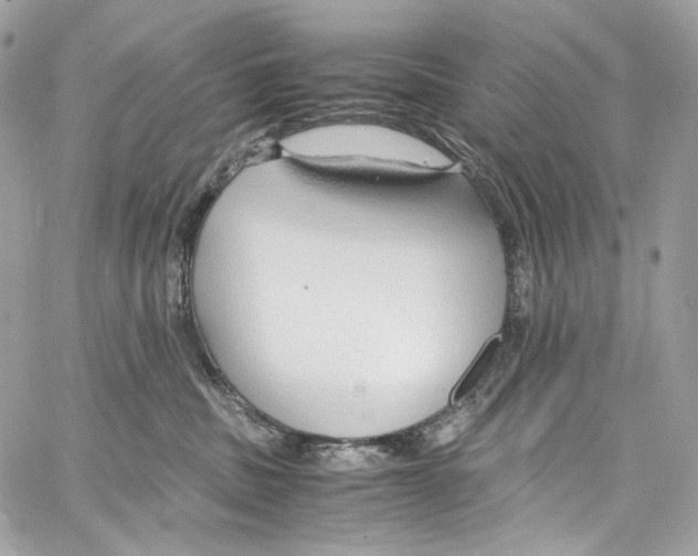 X0000067000379200604241410