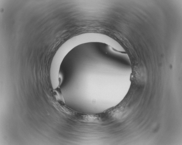 X0000067000380200604241410