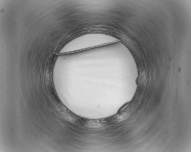 X0000067000381200604241410