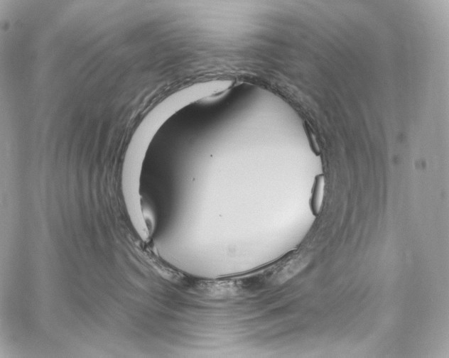 X0000067000384200604241410