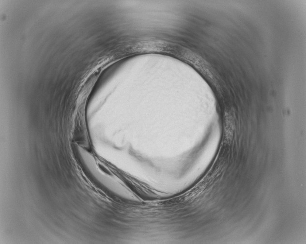 X0000067000386200604241410