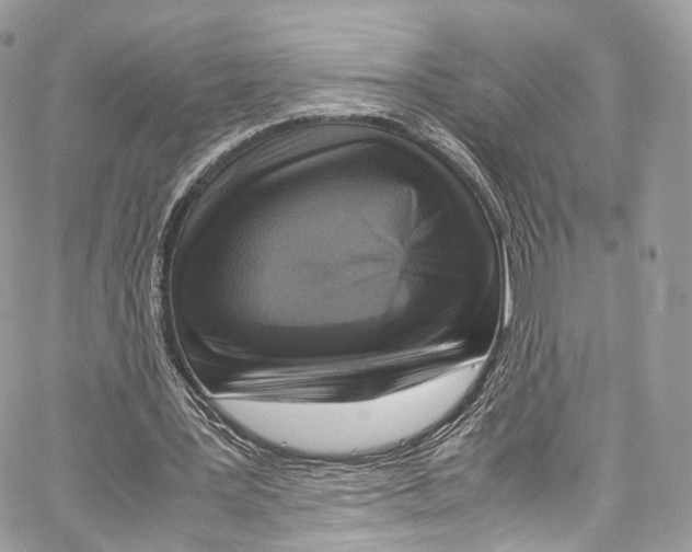 X0000067000387200604241410