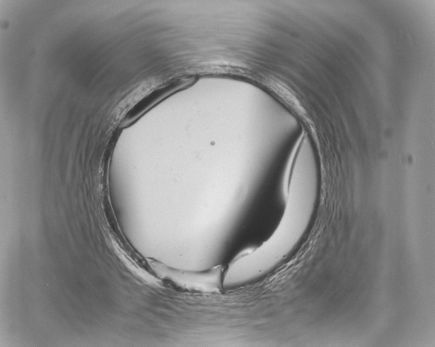 X0000067000389200604241410