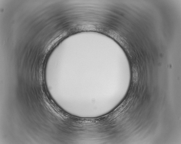 X0000067000390200604241410