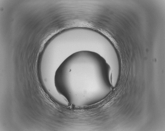 X0000067000391200604241410