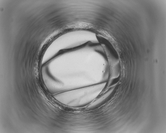 X0000067000392200604241410