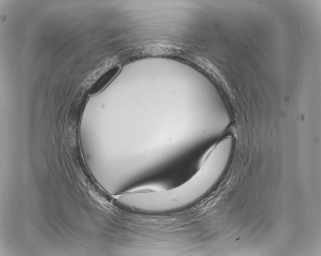 X0000067000393200604241410