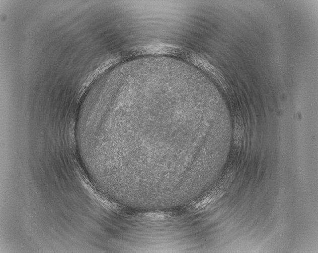 X0000067000394200604241409