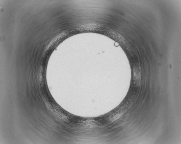 X0000067000396200604241409