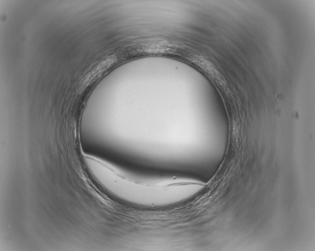 X0000067000397200604241409