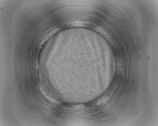 X0000067000398200604241409