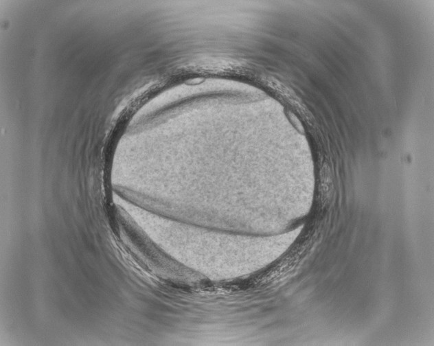 X0000067000399200604241409