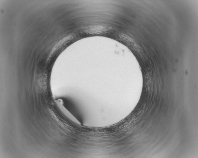 X0000067000400200604241409