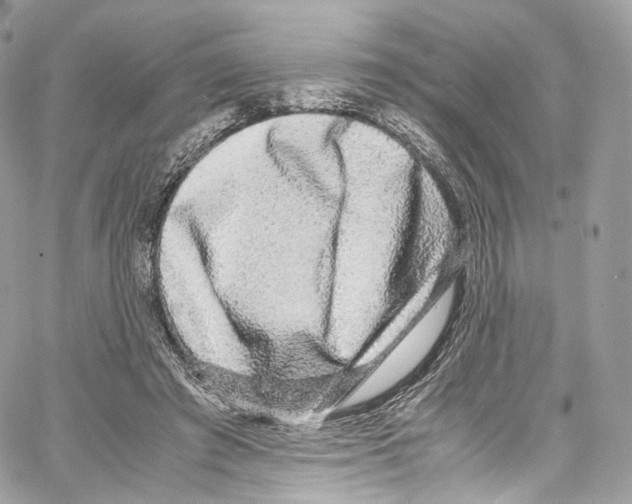 X0000067000401200604241409