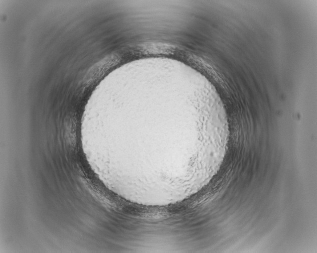 X0000067000402200604241409