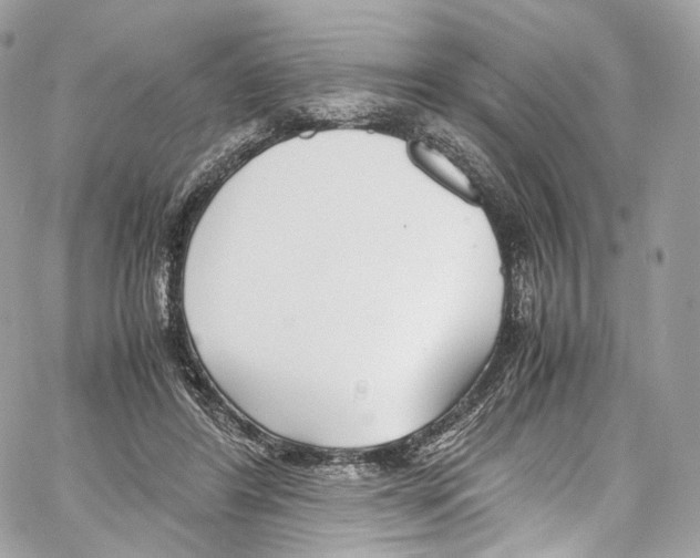 X0000067000404200604241409