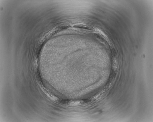 X0000067000405200604241409