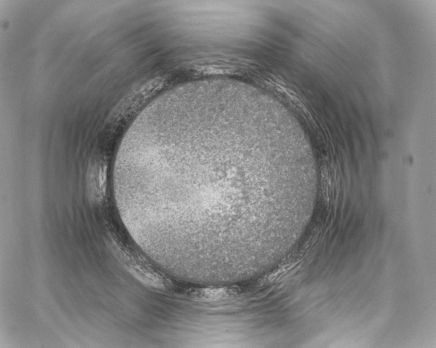 X0000067000406200604241409