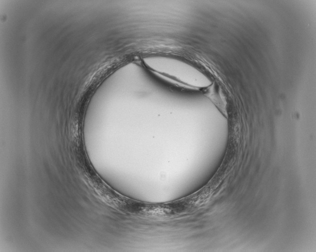 X0000067000407200604241409