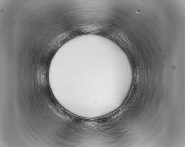 X0000067000408200604241409