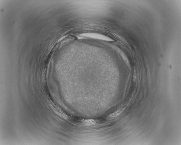 X0000067000409200604241409