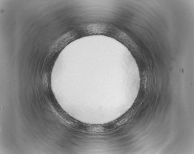 X0000067000410200604241409