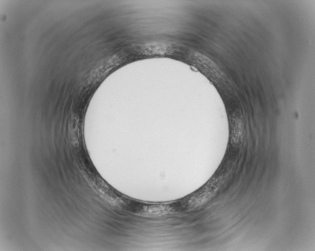 X0000067000414200604241409