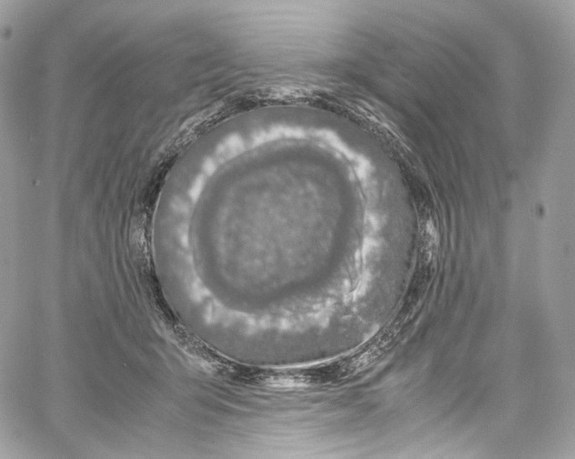 X0000067000415200604241409