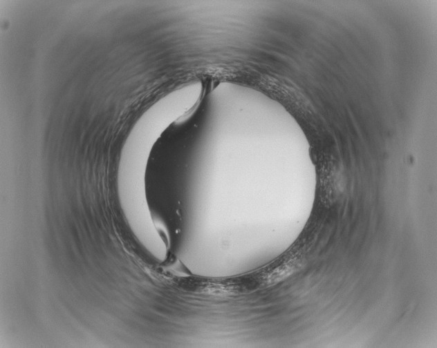 X0000067000416200604241409