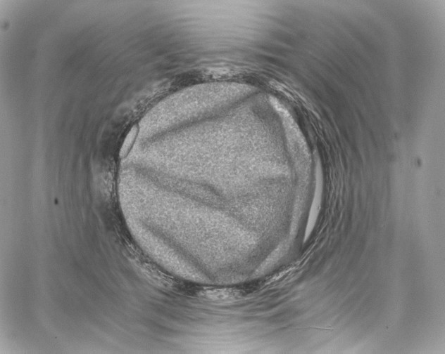 X0000067000417200604241409