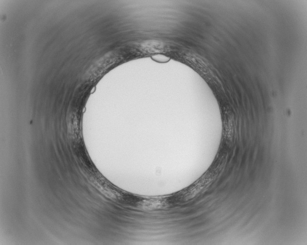 X0000067000418200604241409