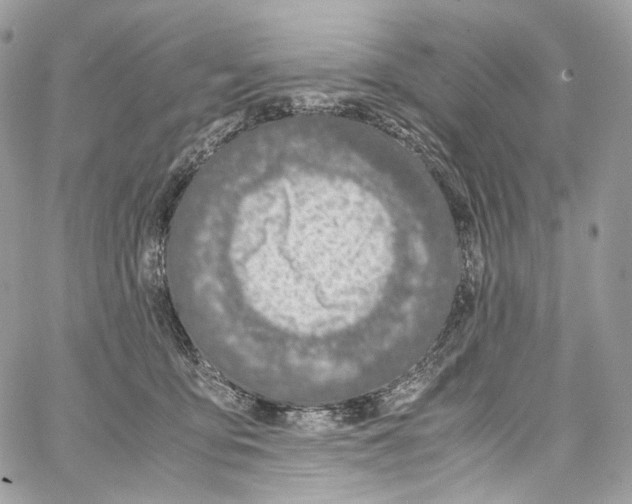 X0000067000419200604241409