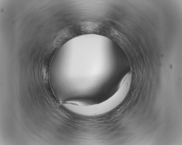 X0000067000420200604241409