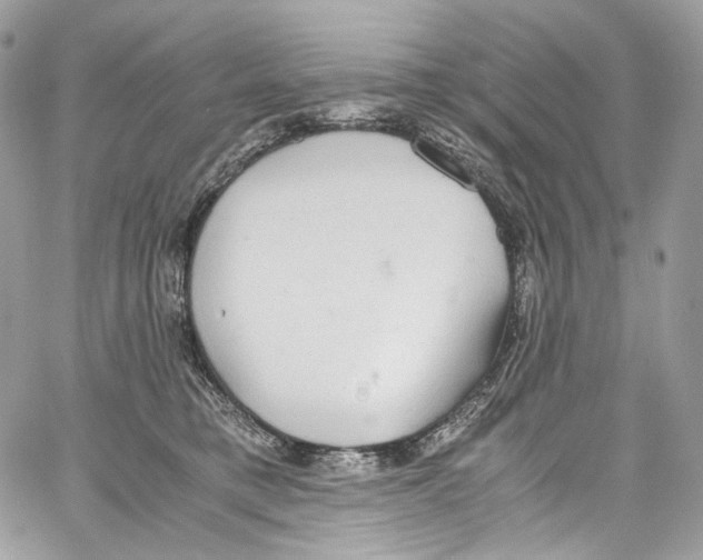 X0000067000421200604241409