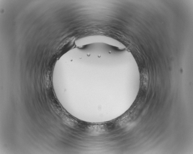 X0000067000422200604241409