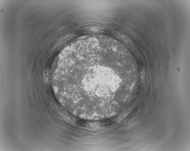 X0000067000423200604241409