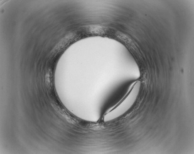 X0000067000424200604241409