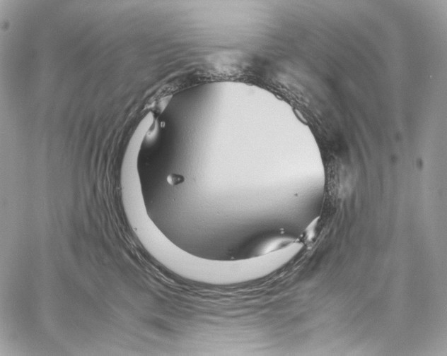 X0000067000425200604241409