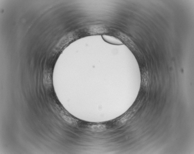 X0000067000426200604241409