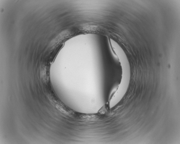 X0000067000428200604241409